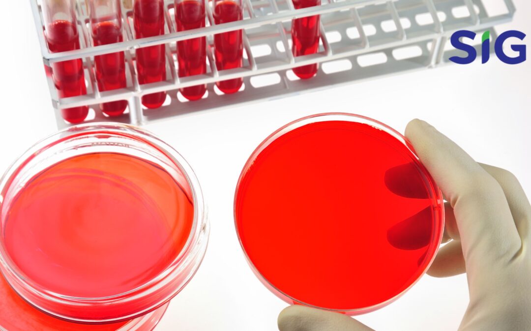 Kenali Karakter Media Sheep Blood Agar Produksi SIG Laboratory